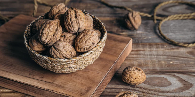 خواص گردو و نقش آن در سلامت مغز؛ چرا این مغز ارزشمند را بیشتر مصرف کنیم؟