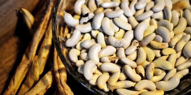 چگونه حبوبات خشک را برای مدت طولانی نگهداری کنیم