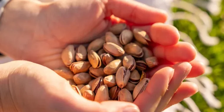 بهترین زمان مصرف آجیل در طول روز؛ صبح، عصر یا شب؟